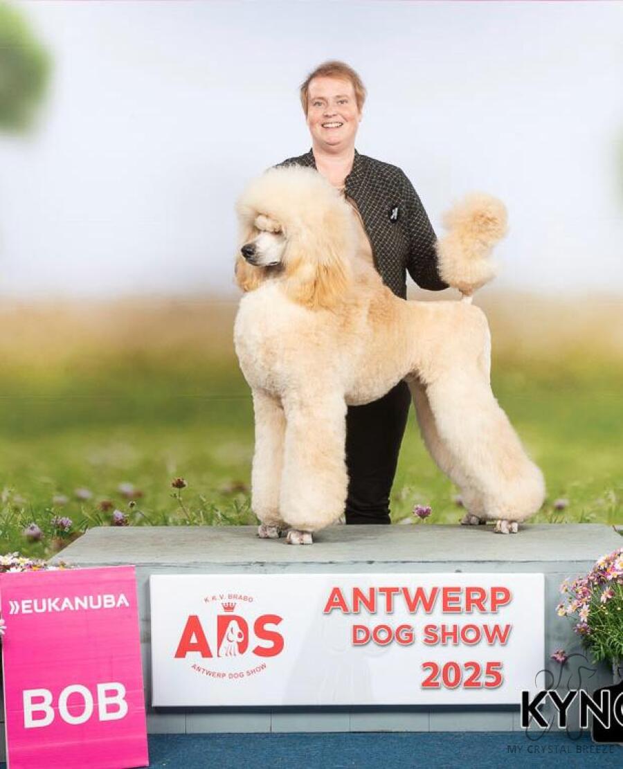 Foto van een hond van My Crystal Breeze