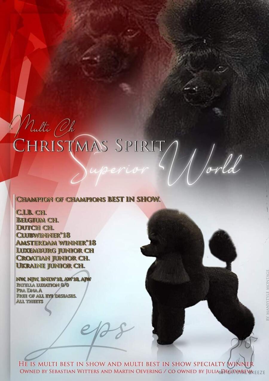 Flyer van Dekreu Christmas Spirit Superior World